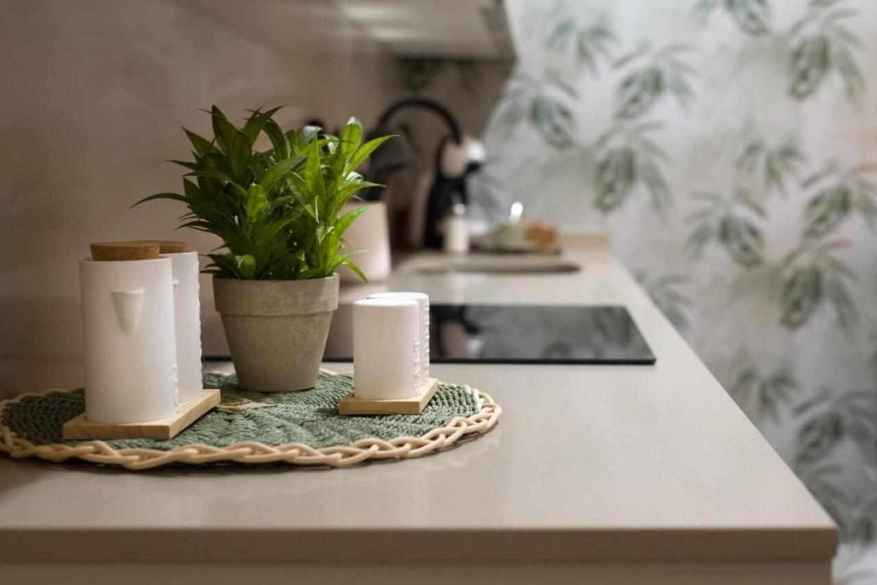 Apartamento Rural Isla Esencia De Bardenas Navarra Villafranca Екстериор снимка